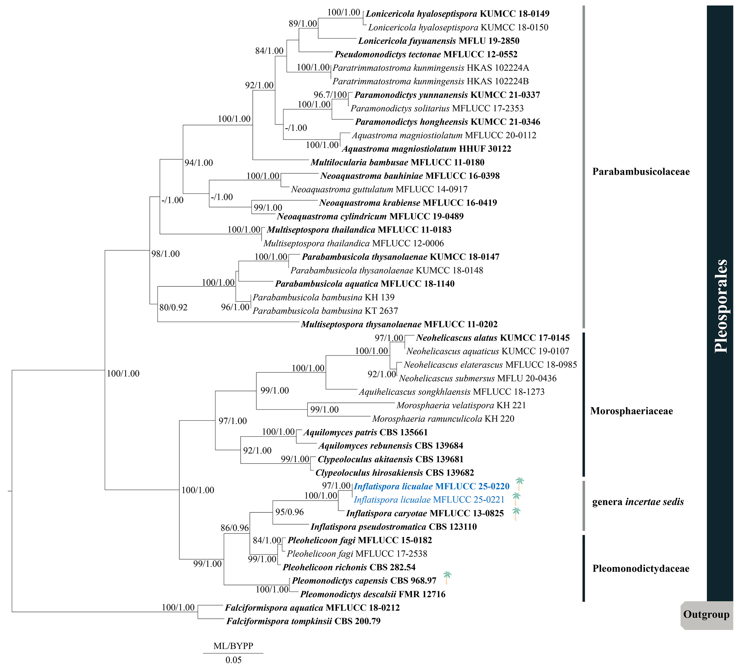 Figure 55